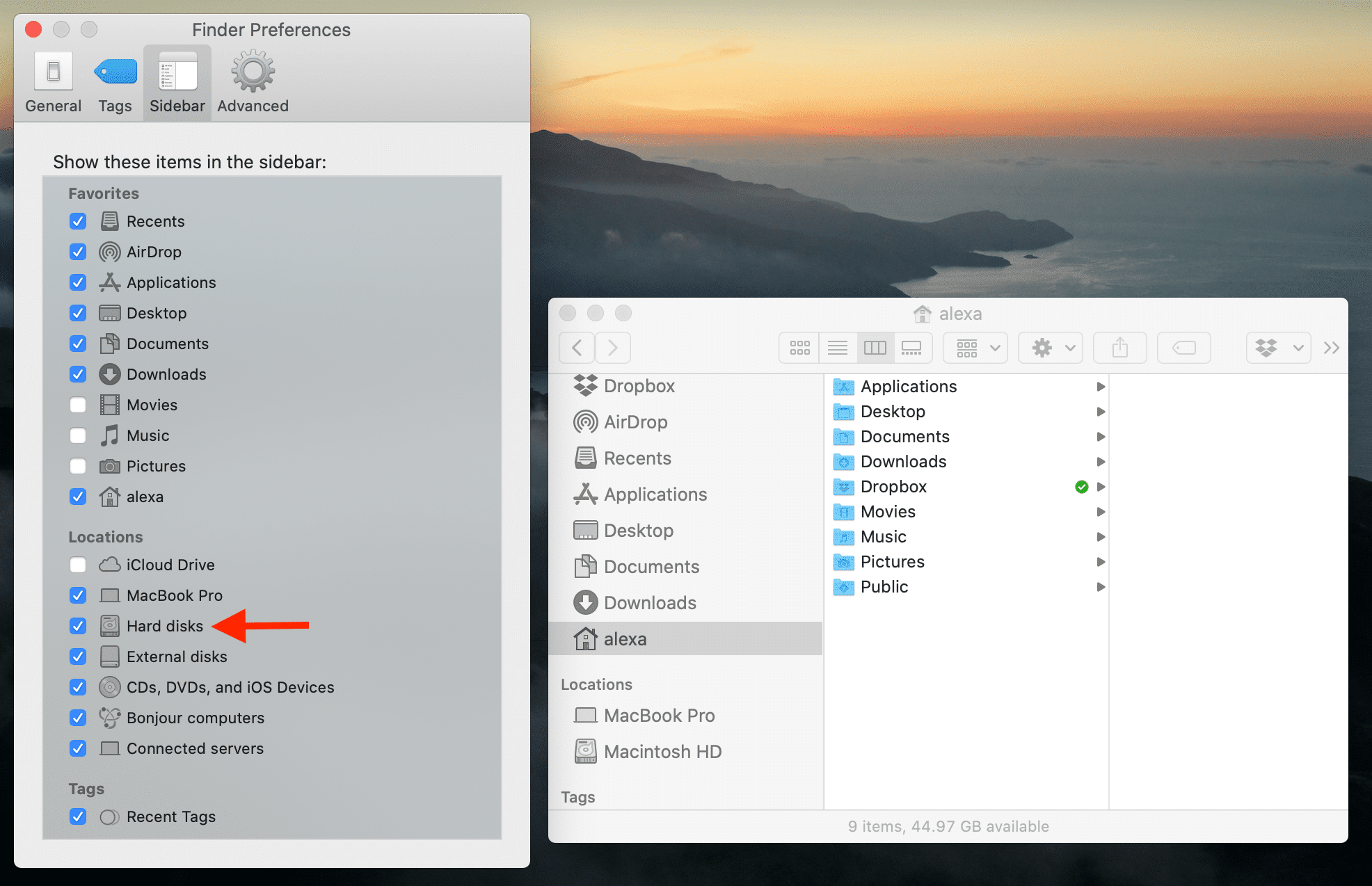 Finder Preferences with Hard disks highlighted