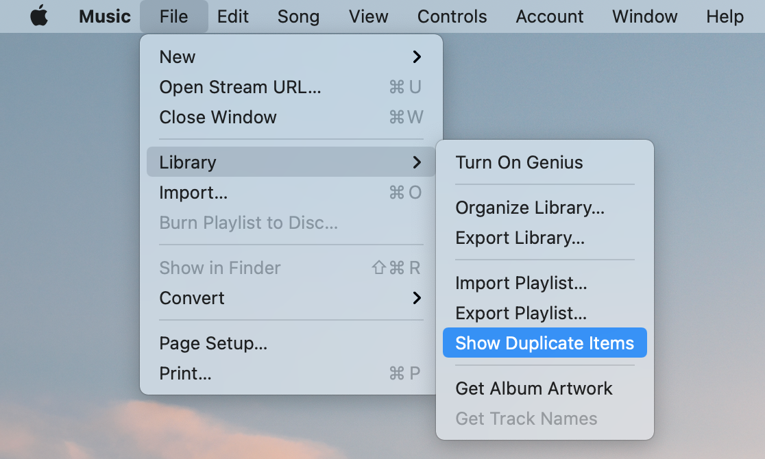 delete duplicates from Music to free up space