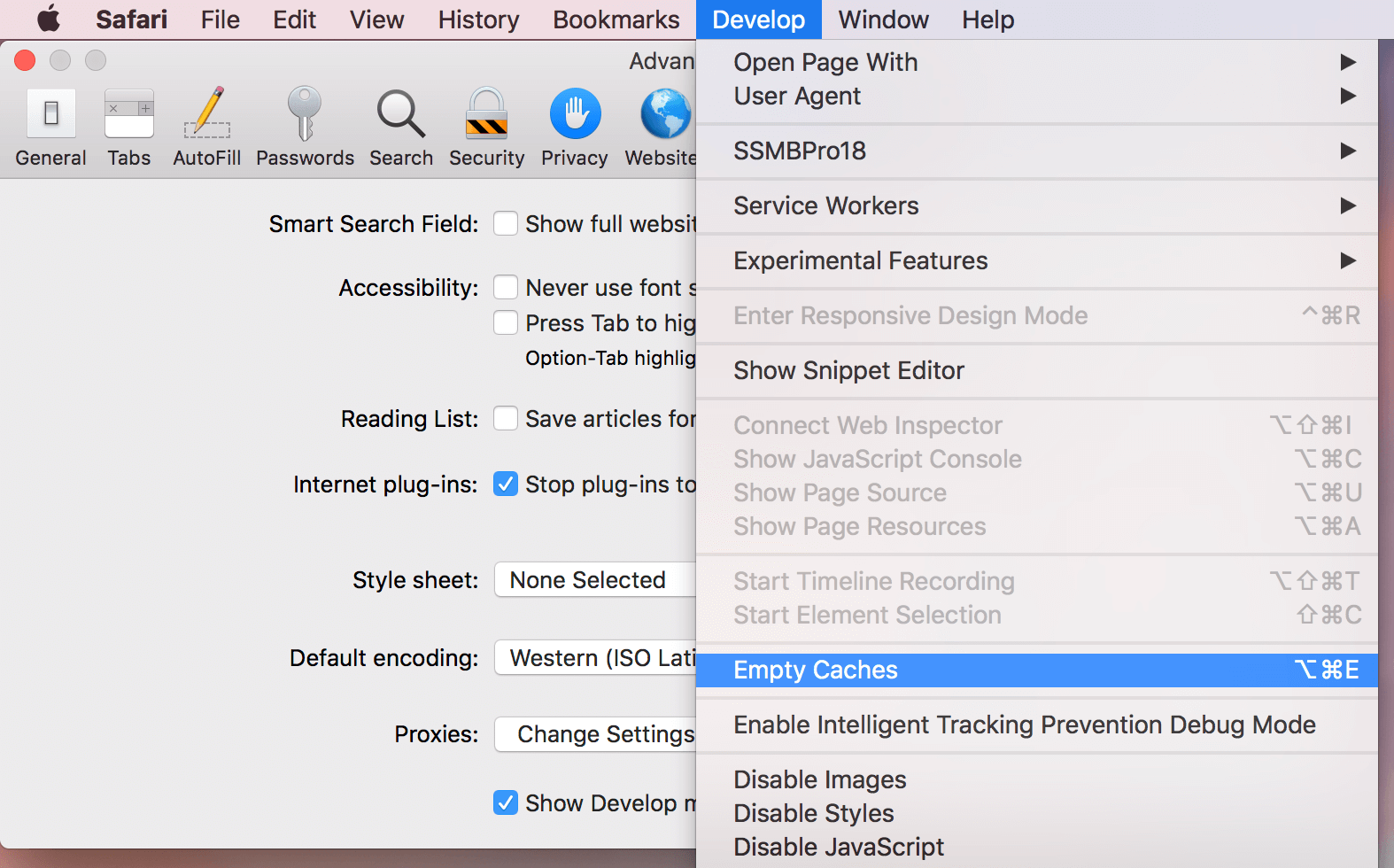 Safari menu dropdown window with Clear cache option highlighted option to clear cache in Safari menu