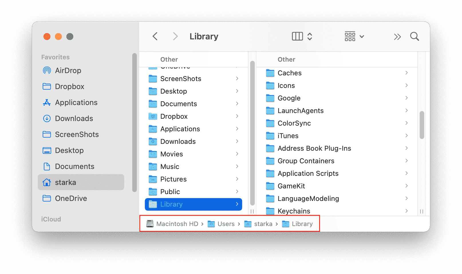 Library showing folders with system service files