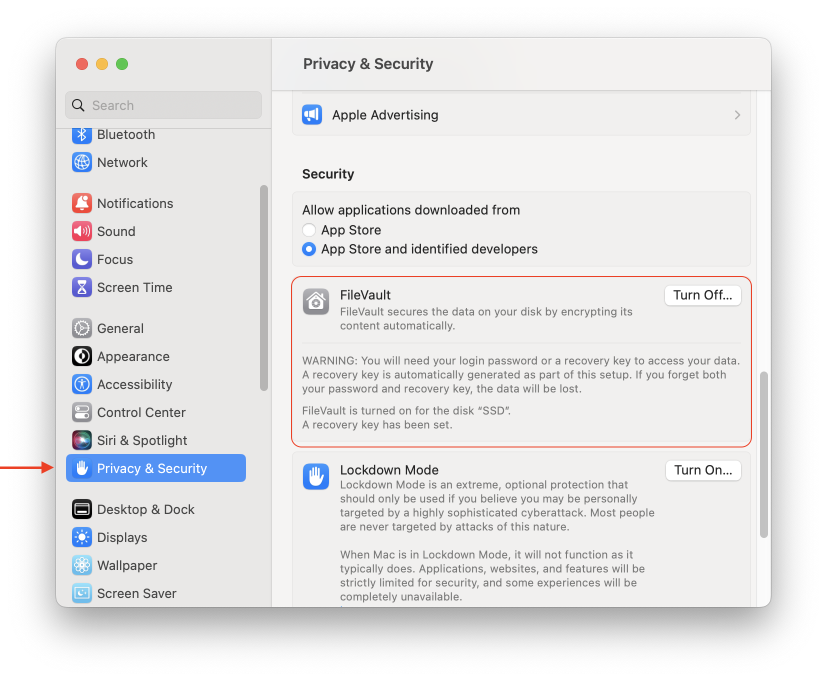 FileVault section in system settings
