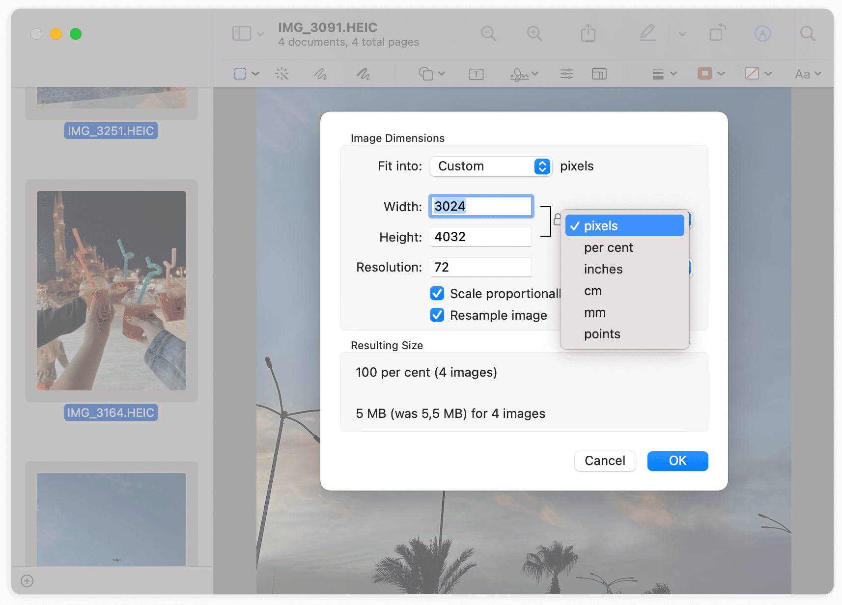 Image Dimensions window with pixels option seleceted