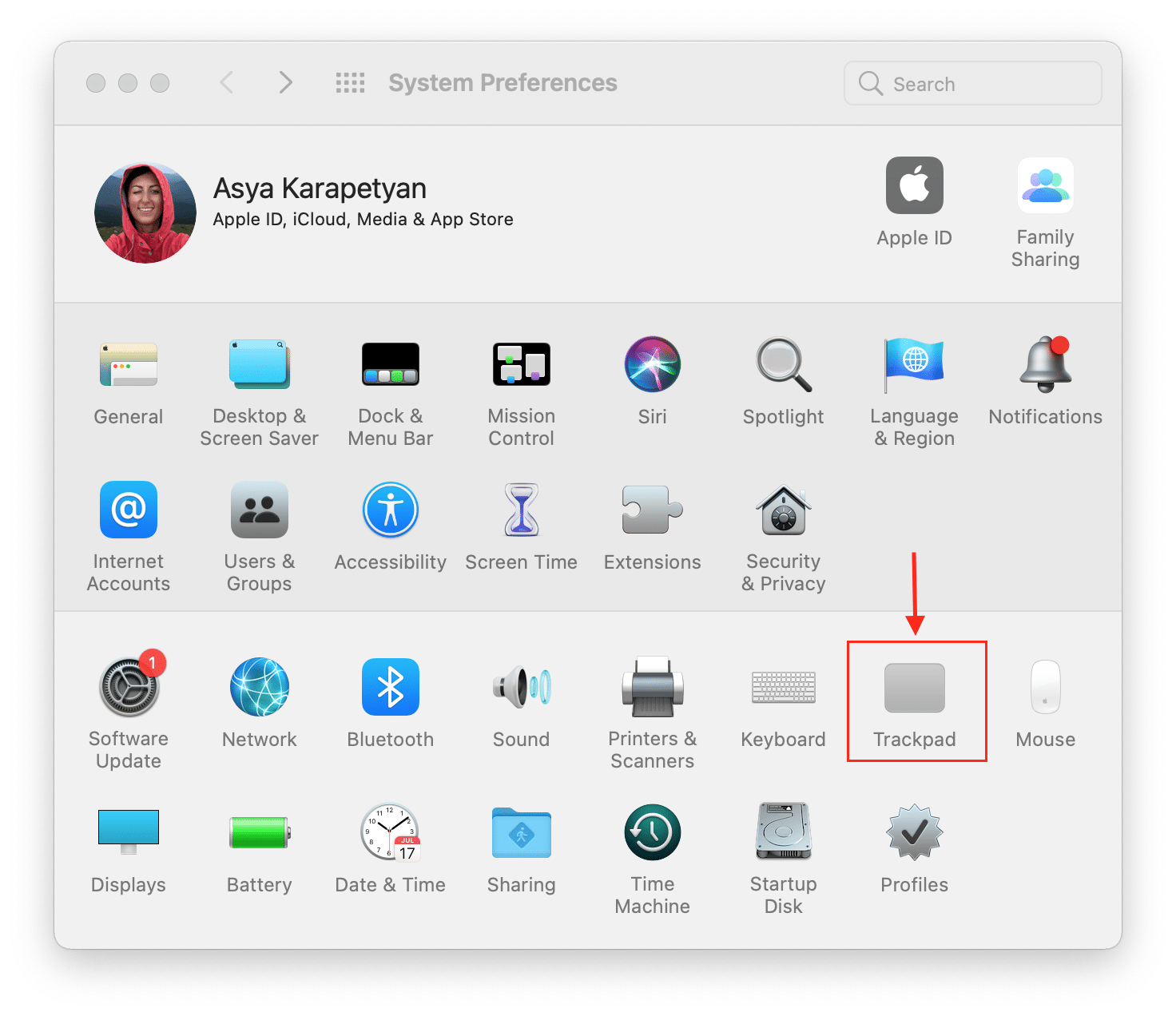 Preferences window with Trackpad section highlighted