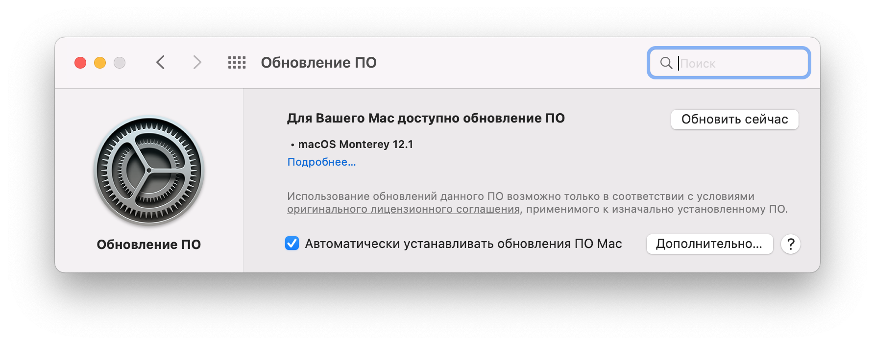 панель Обновление ПО