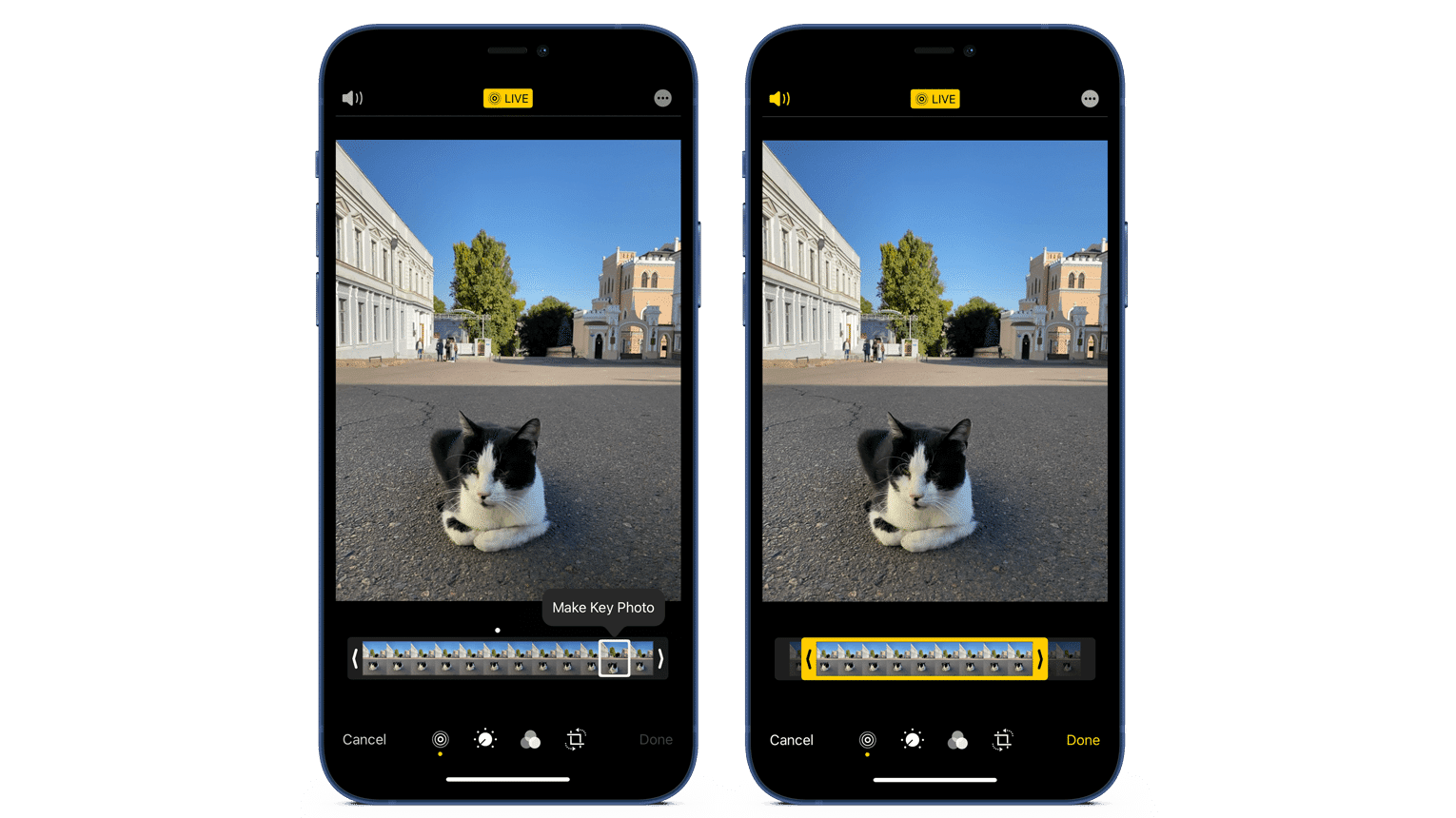 iPhone screens showing how to edit live photos on iPhone