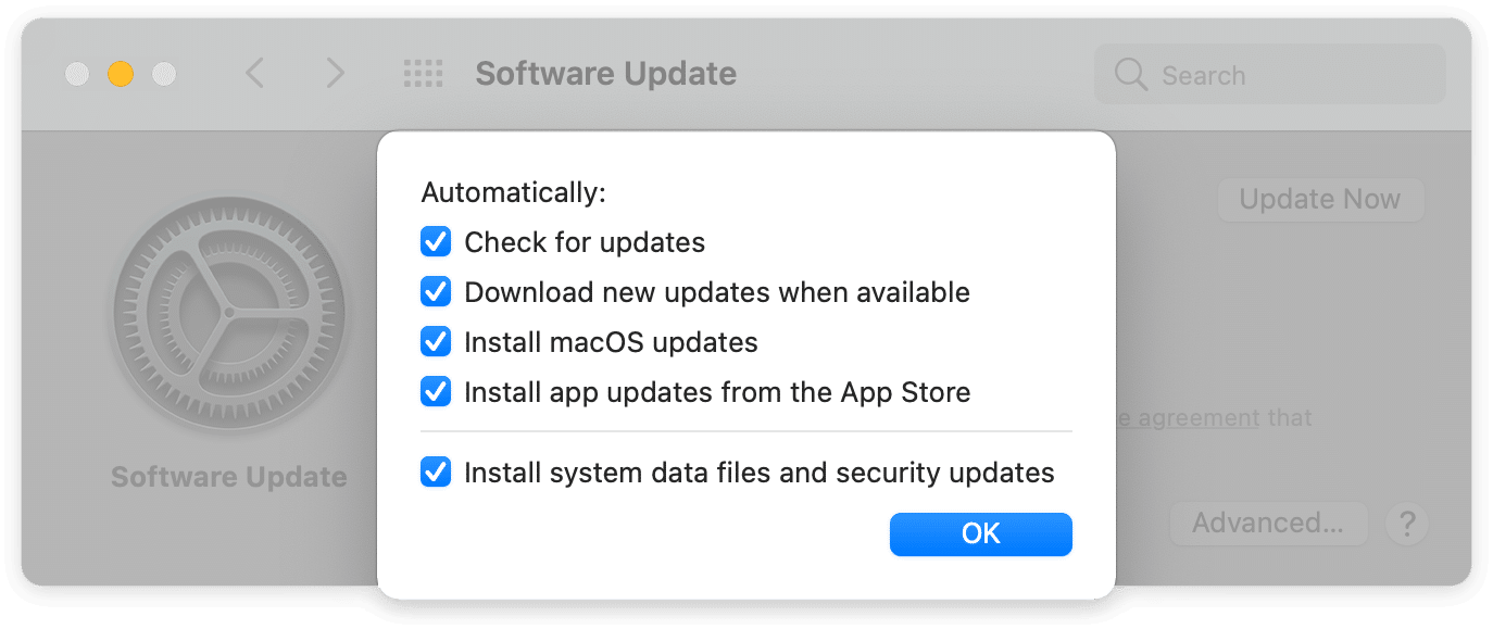 window showing automatical options for Mac software update