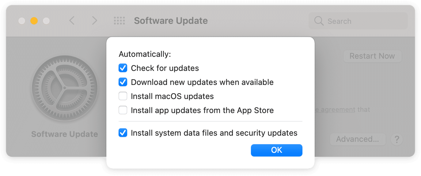 Software Update window with opened Advanced settings