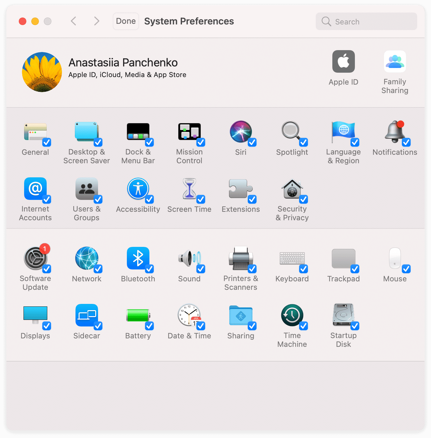 System preferences showing categories