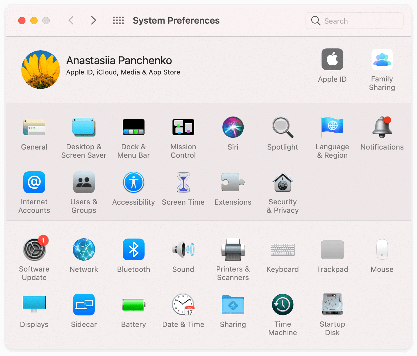 The System preferences window