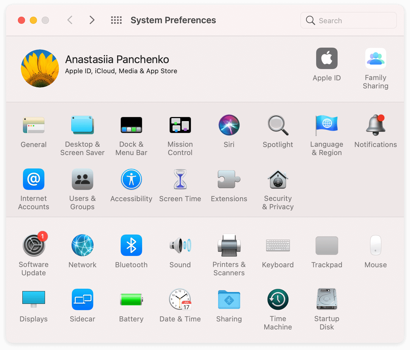 system preferences window