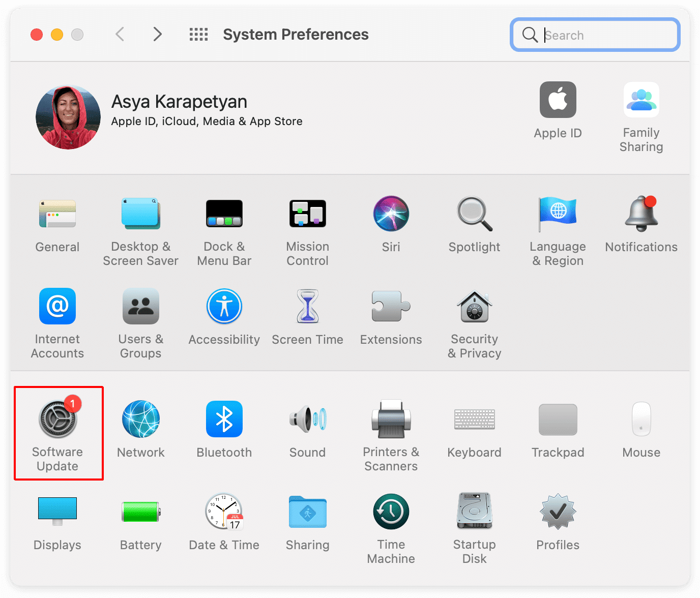 System Preferences window with the Software update section highlighted