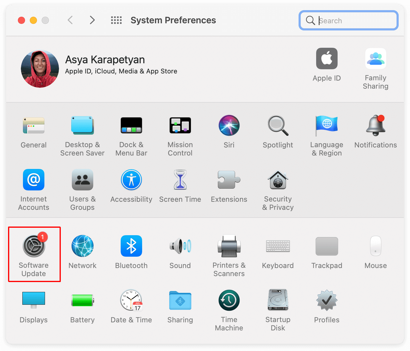 how-to-update-software-on-mac-nektony