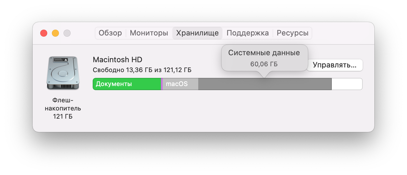 Панель Хранилище Mac показывающее объем системных данных