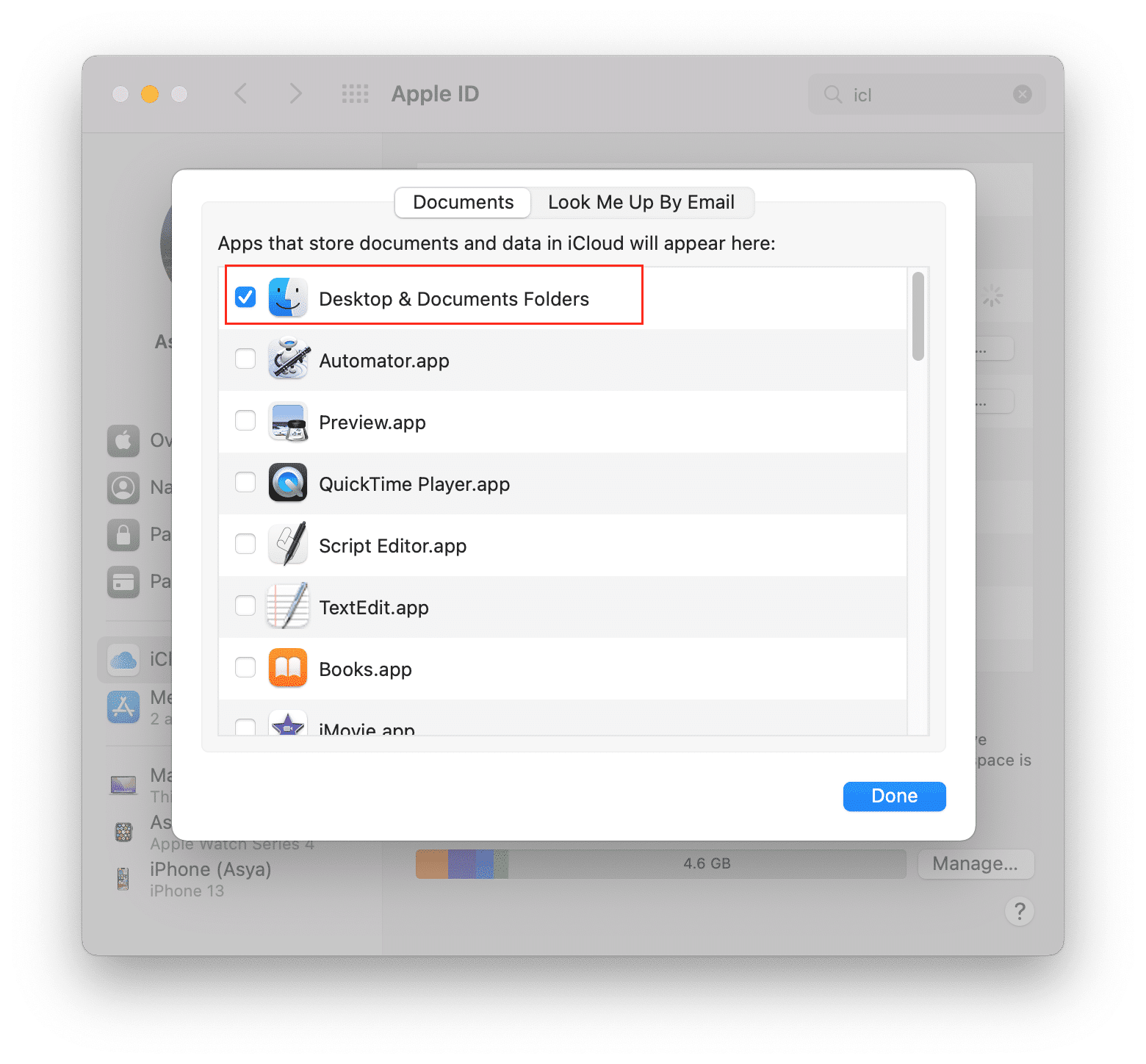 iCloud preferences window