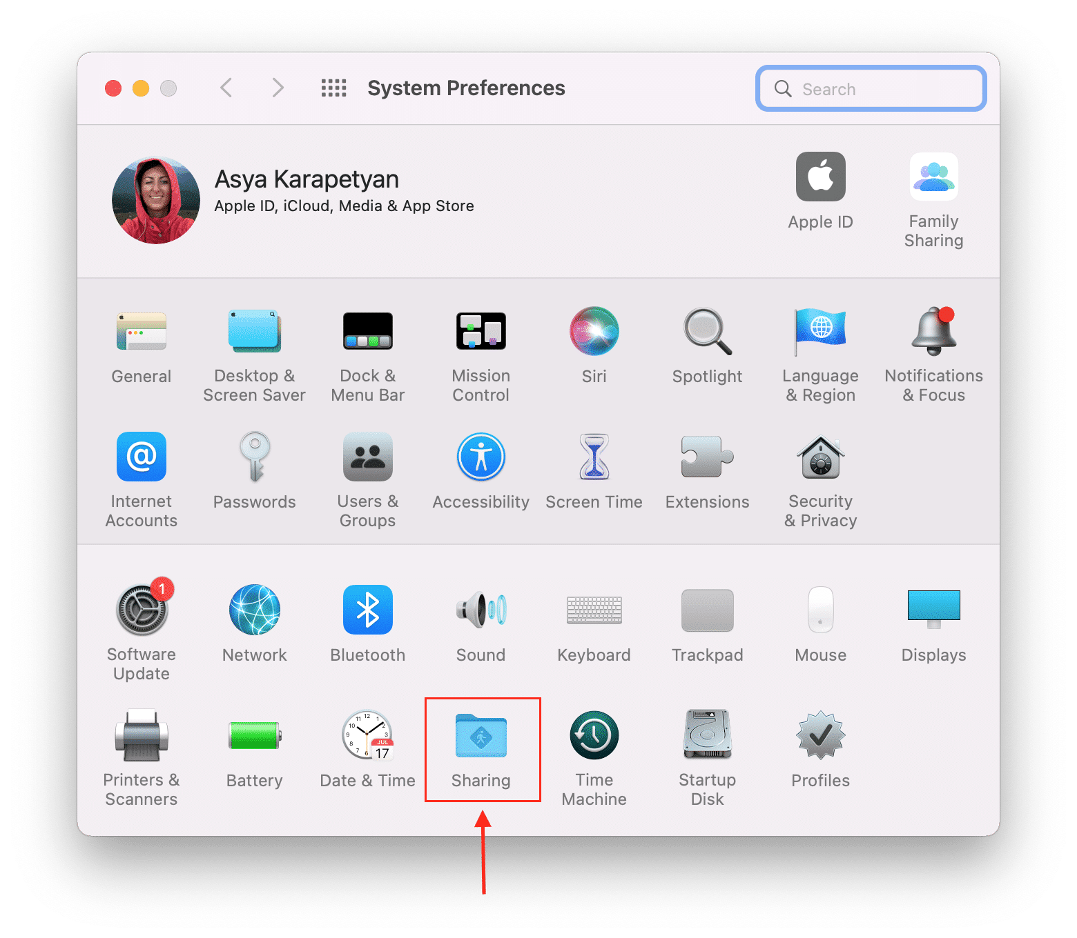System Preferences window with Share category highlighted