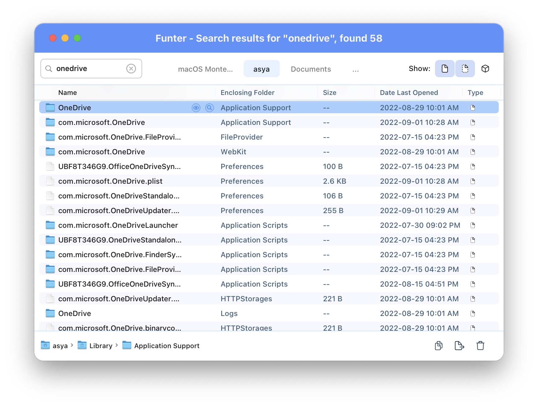 Funter showing the list of OneDrive support files