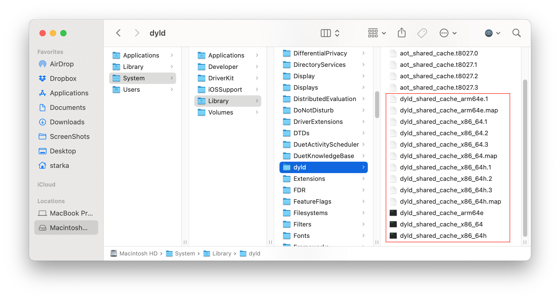 Finder showing dydl files