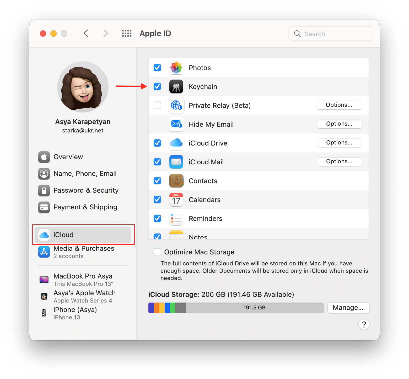 iCloud settings with the Keychain app highlighted