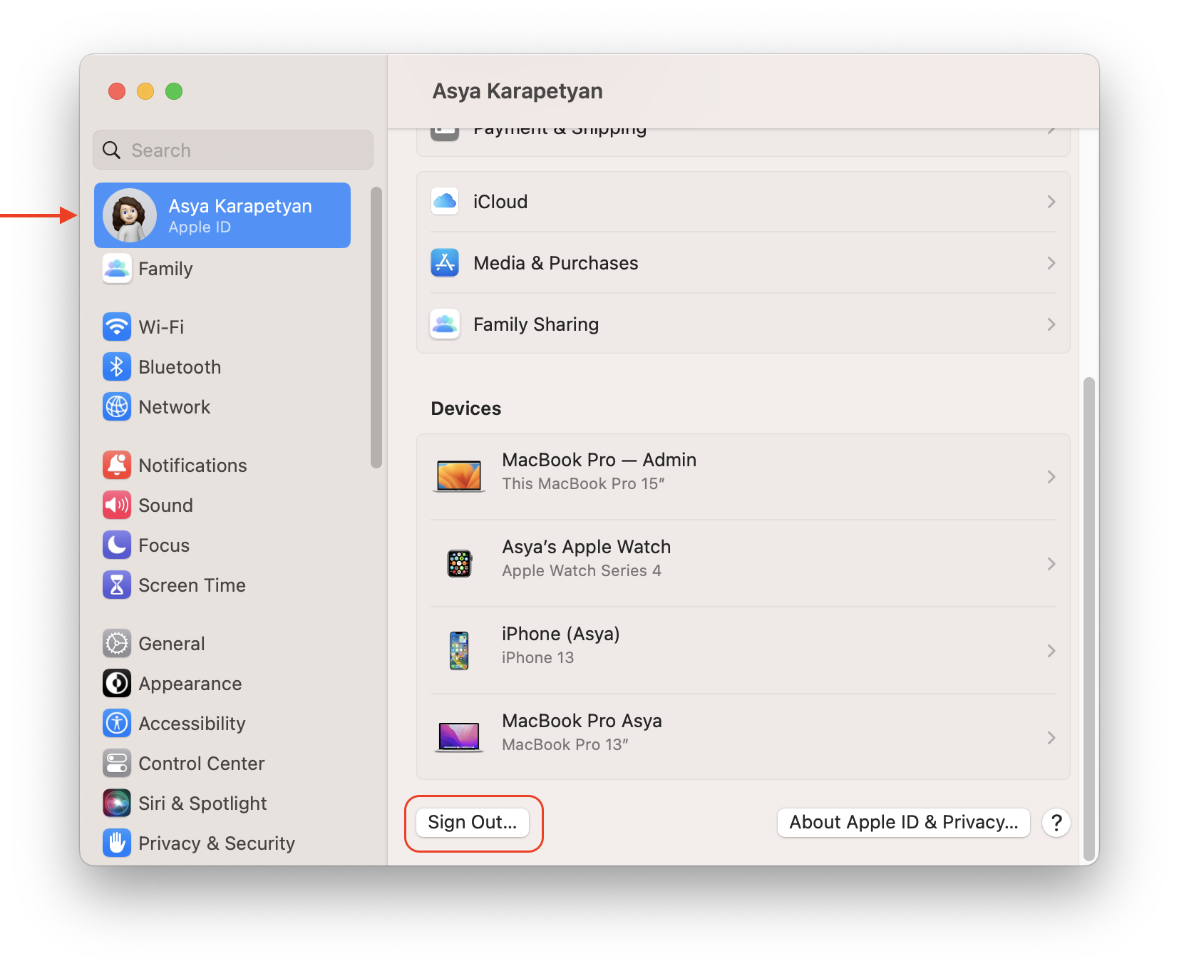 Safari browser icon in iCLoud settings