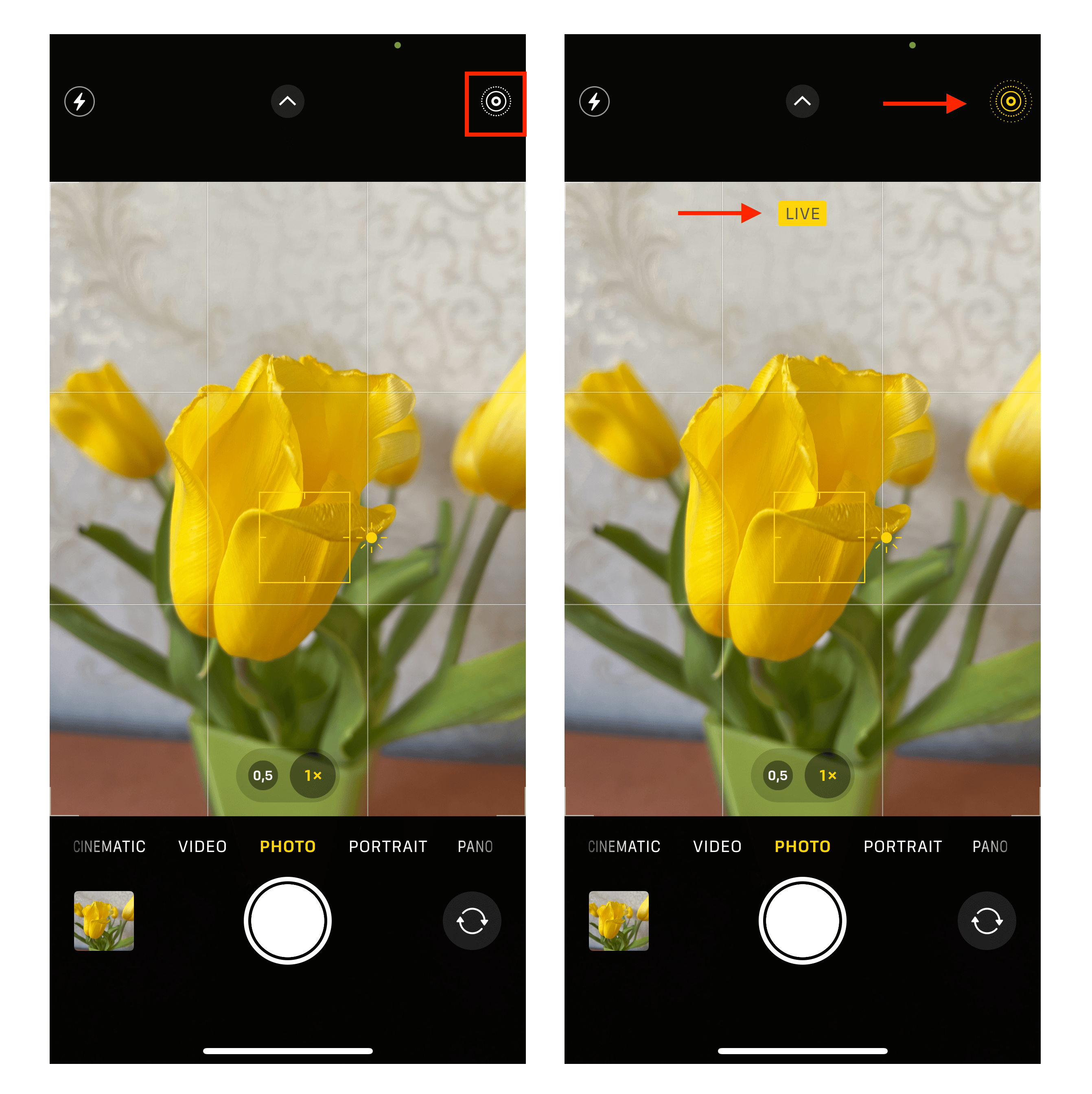 How To Turn A Video Into A Live Photo On Iphone