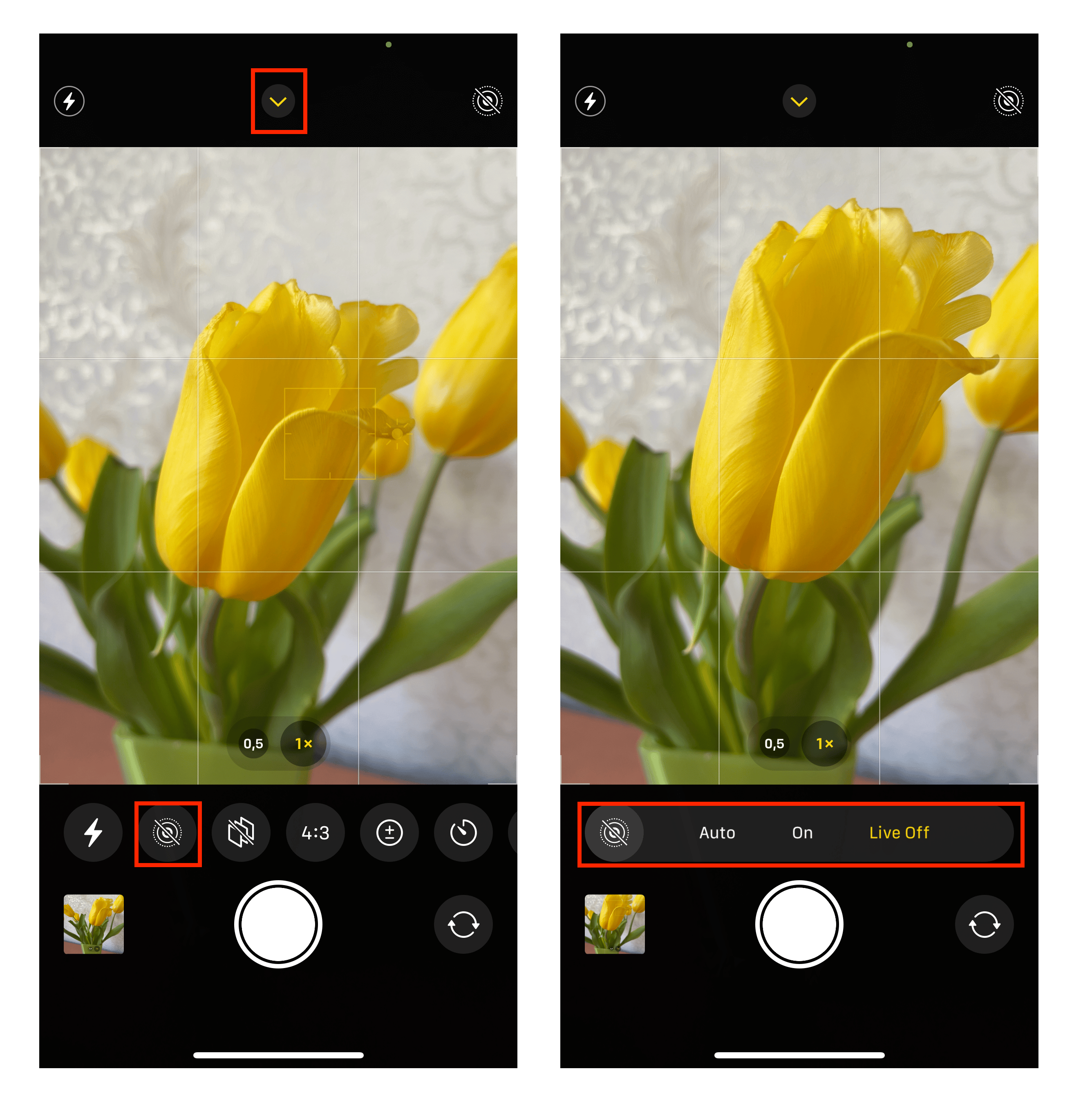 iPhone camera showing how to turn on live photos