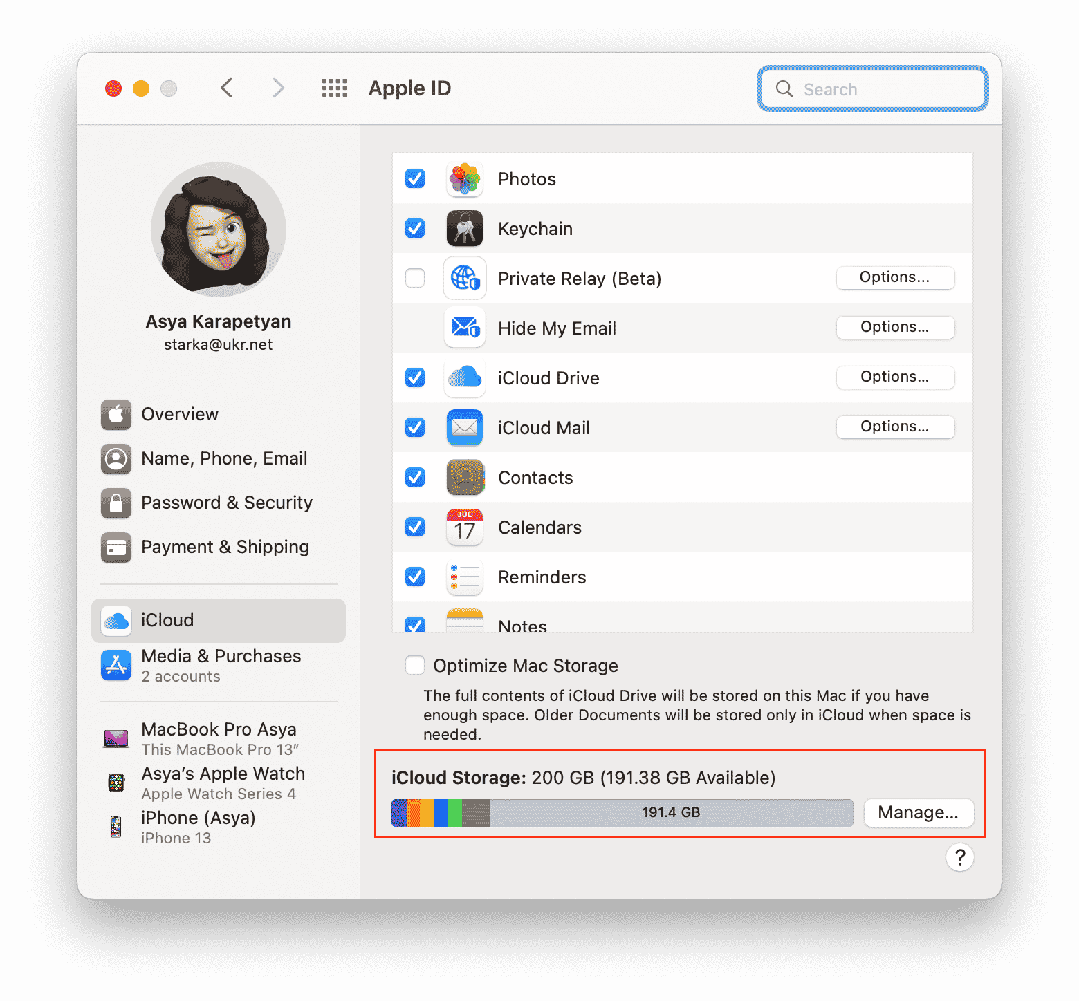 system preferences window showing iCloud storage