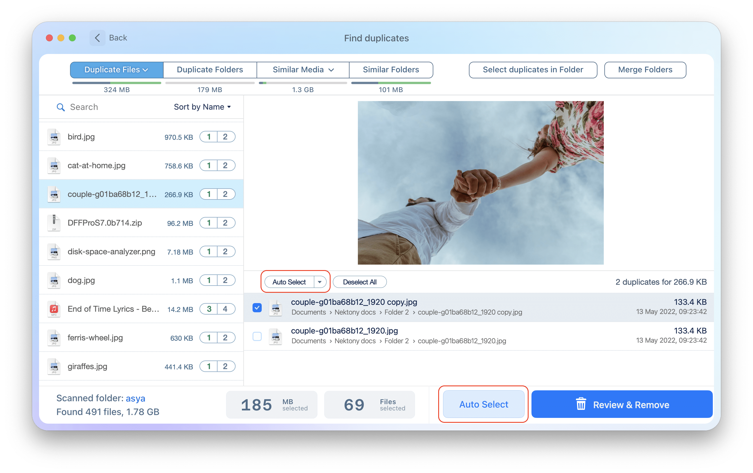 Duplicate File Finder with the Auto Select button highlighted