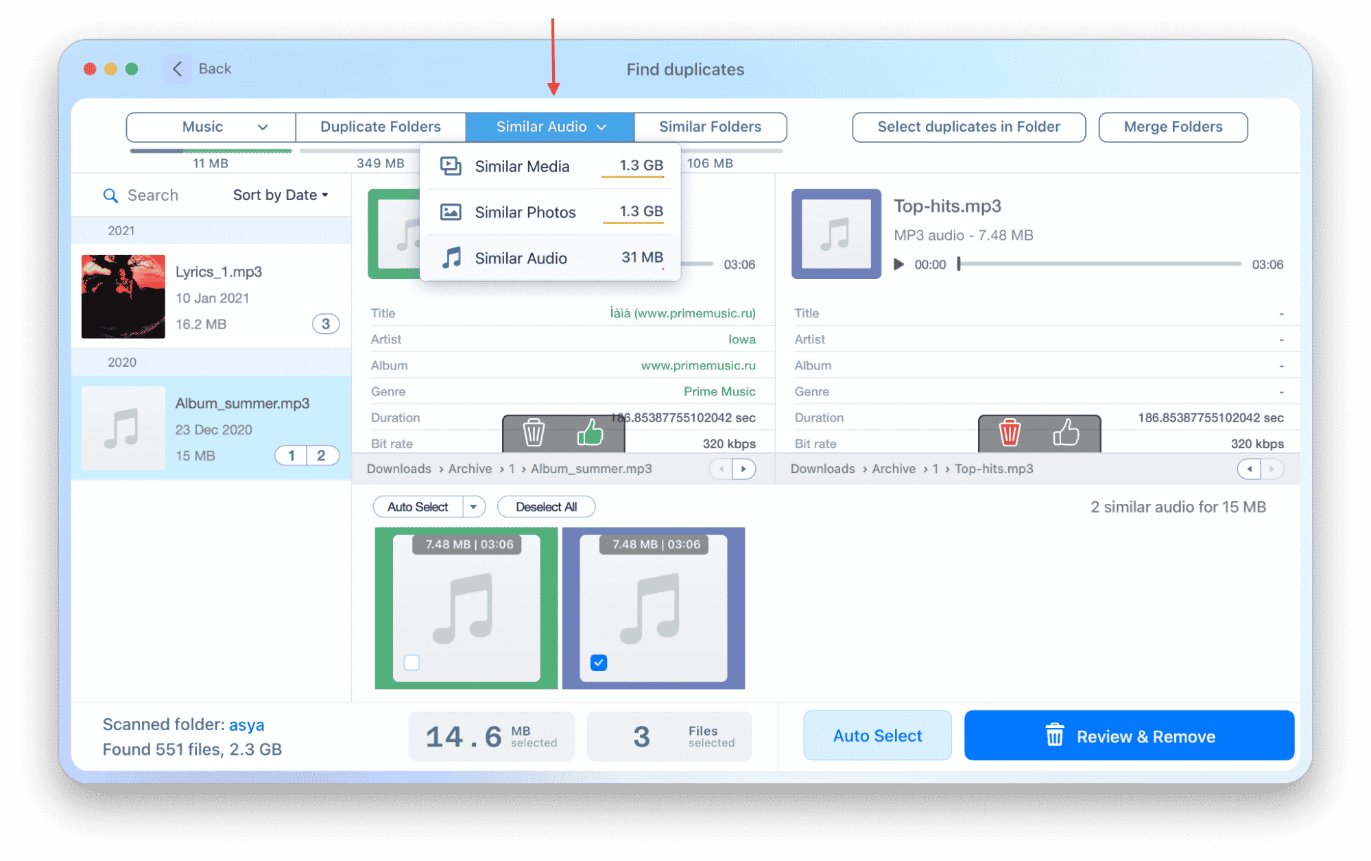 Duplicate File Finder showing similar music files