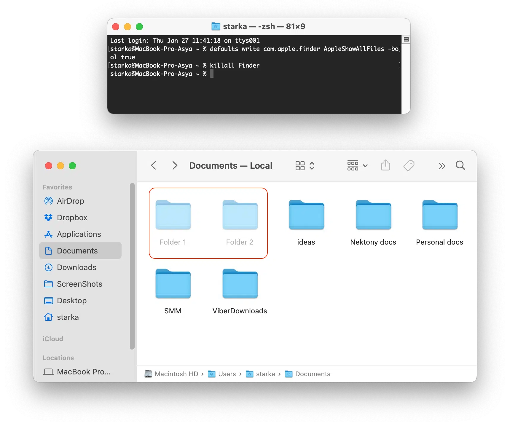 Terminal-App mit einem Befehl zum Anzeigen versteckter Dateien auf dem Mac