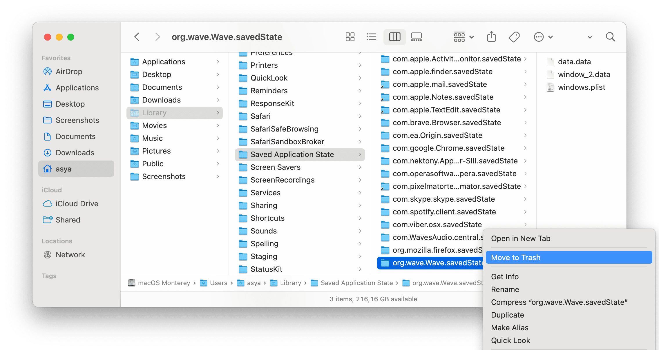 Library folder showing Wave browser's support files