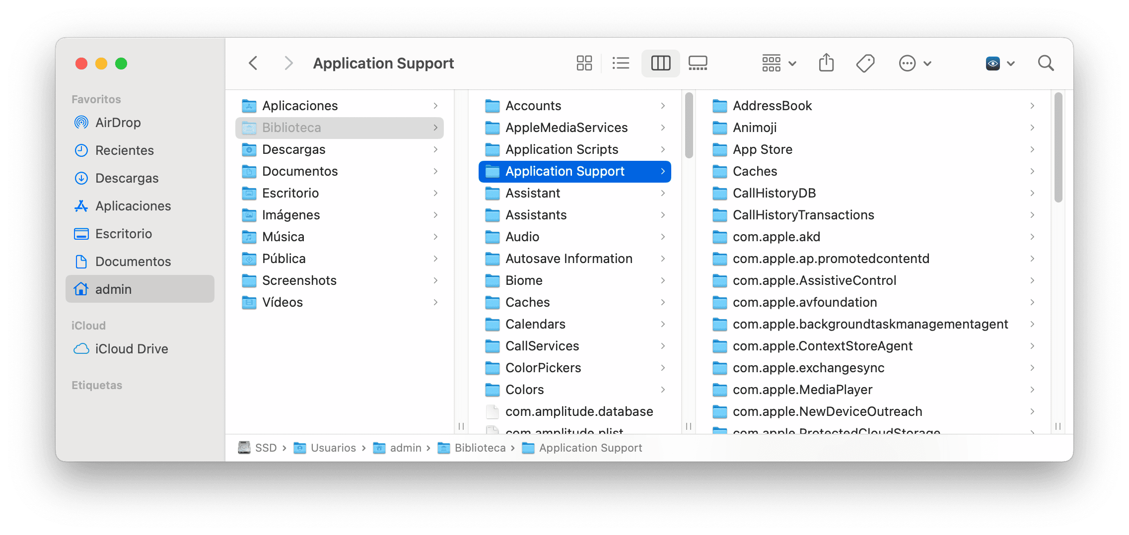 Finder window showing Application Support folder in the Library