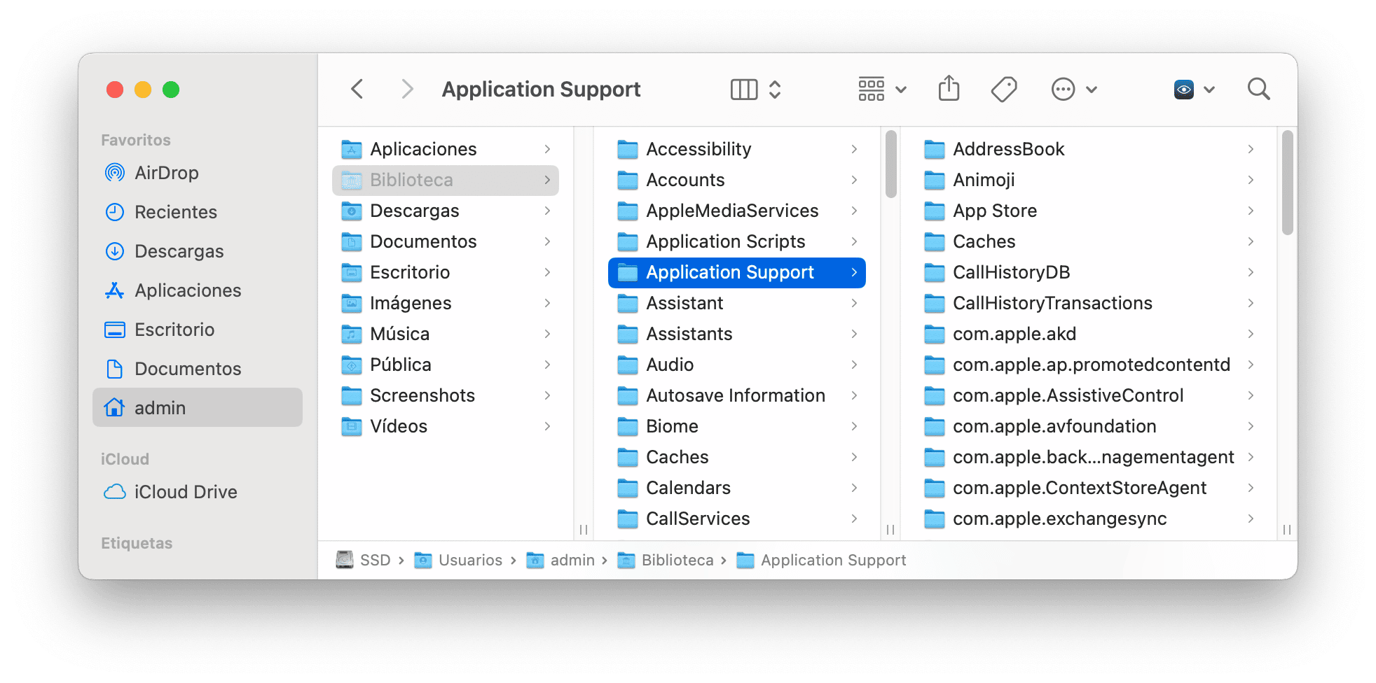 Library folder showing Application Support folder
