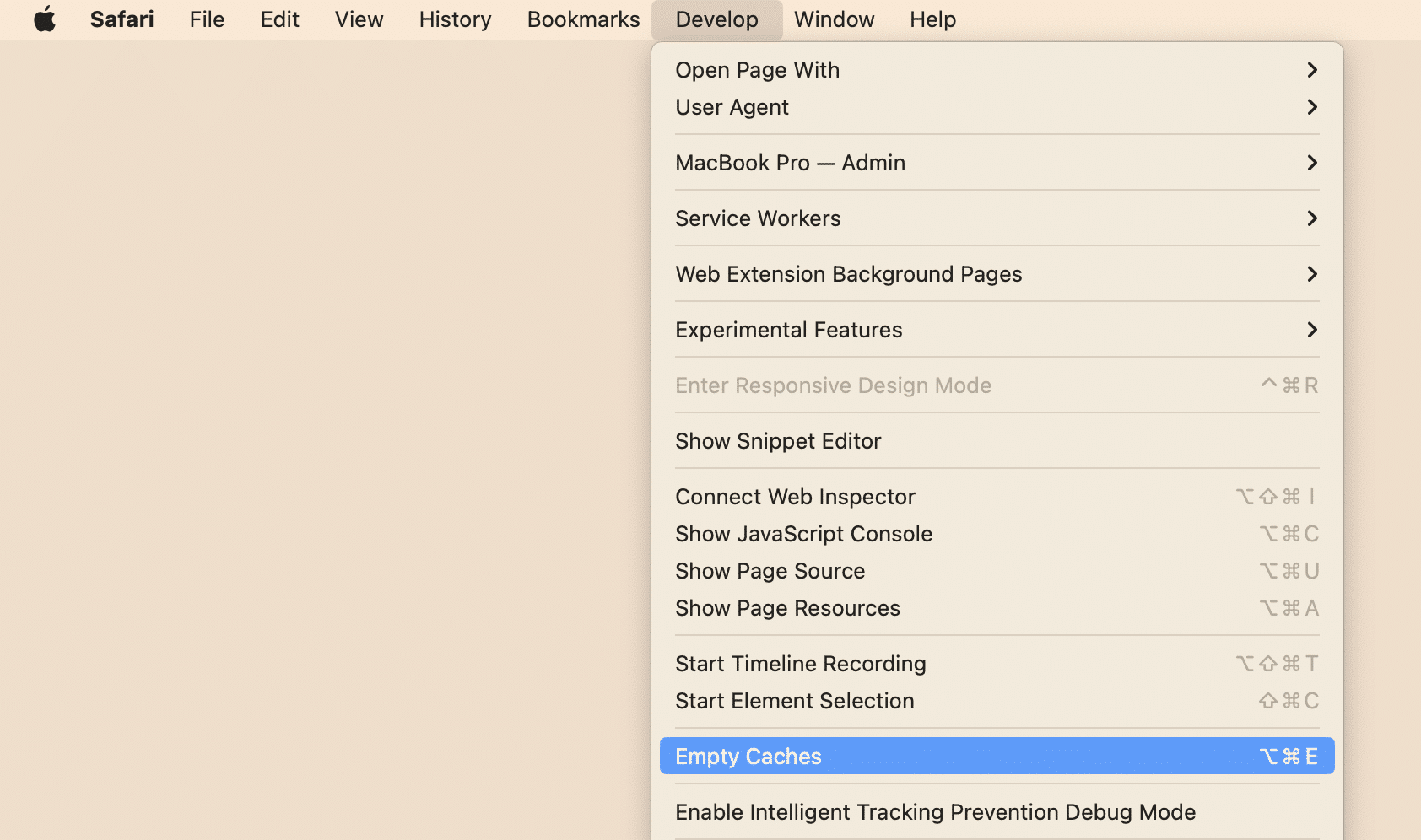 Safari menu showing the Empty Caches option