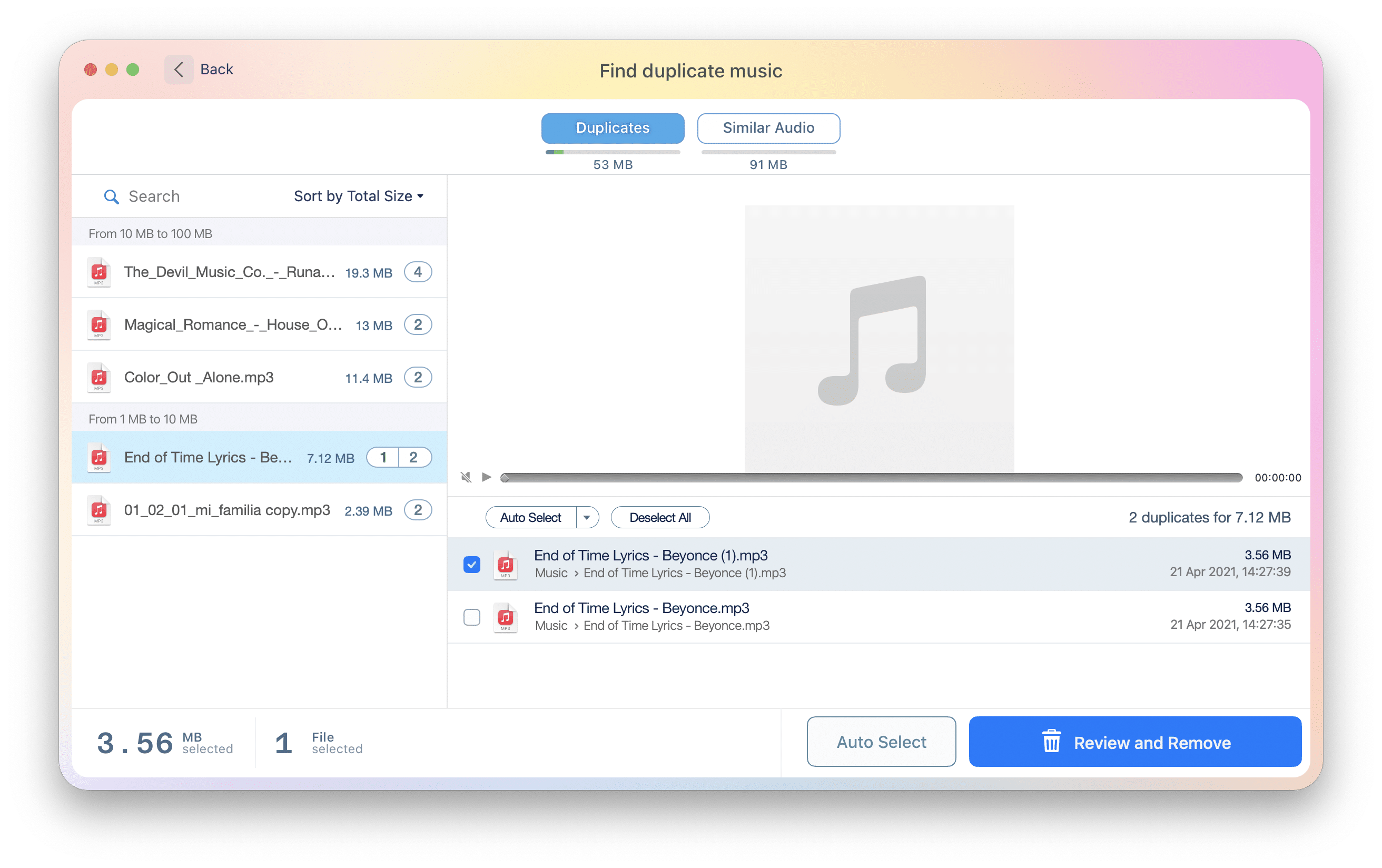 Duplicate File Finder showing similar music files