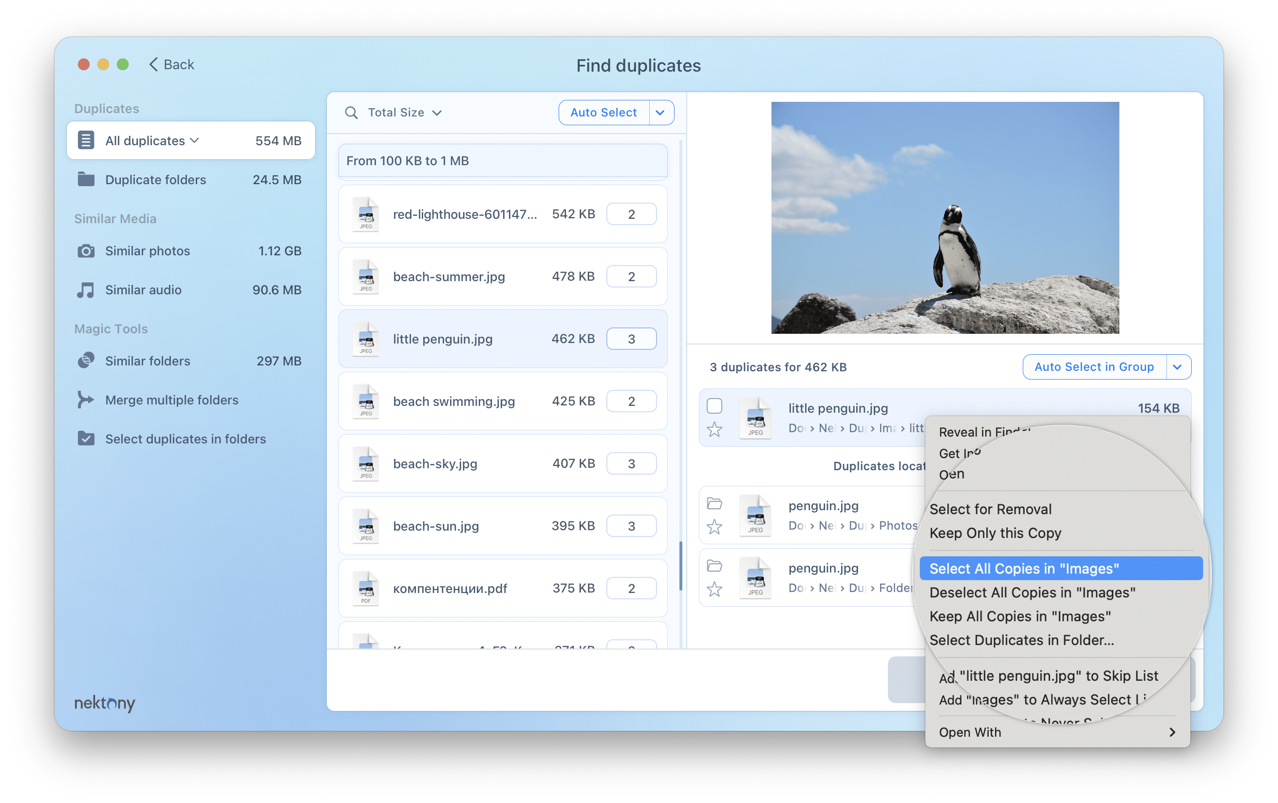 Contex menu showing the option to select duplicate copies