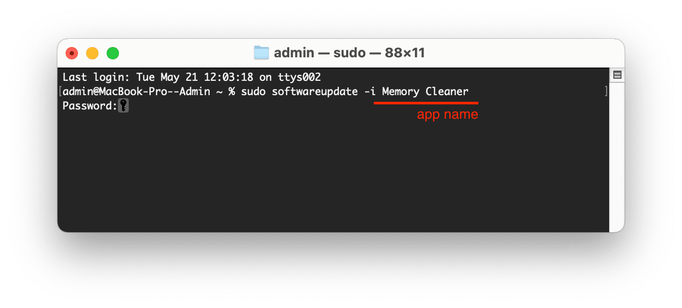 Terminal window showing the command to update apps