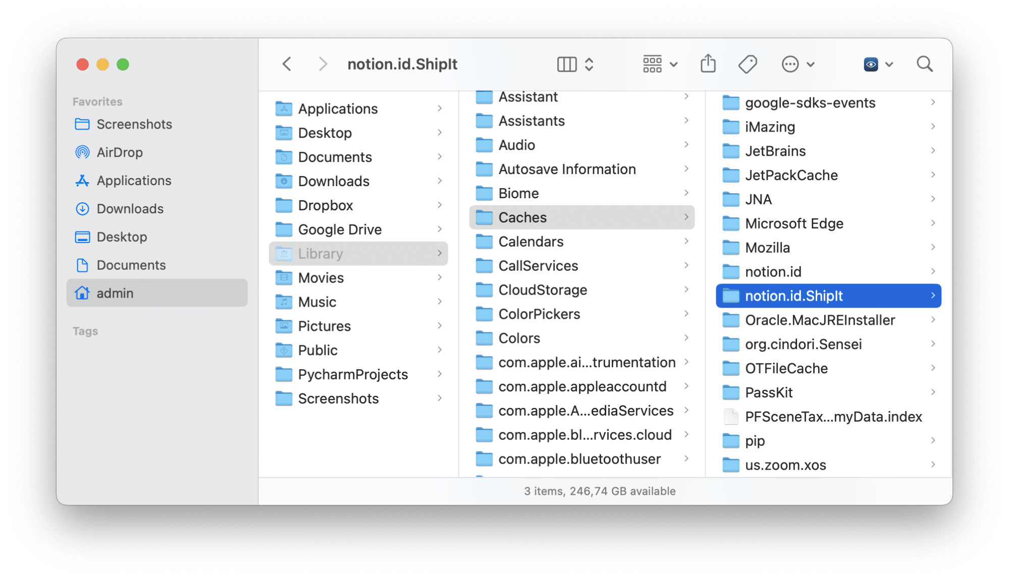 Notion files in the Library folder