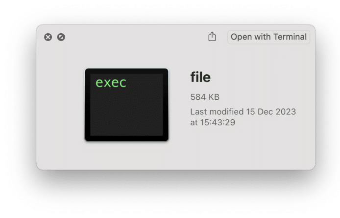 file exec