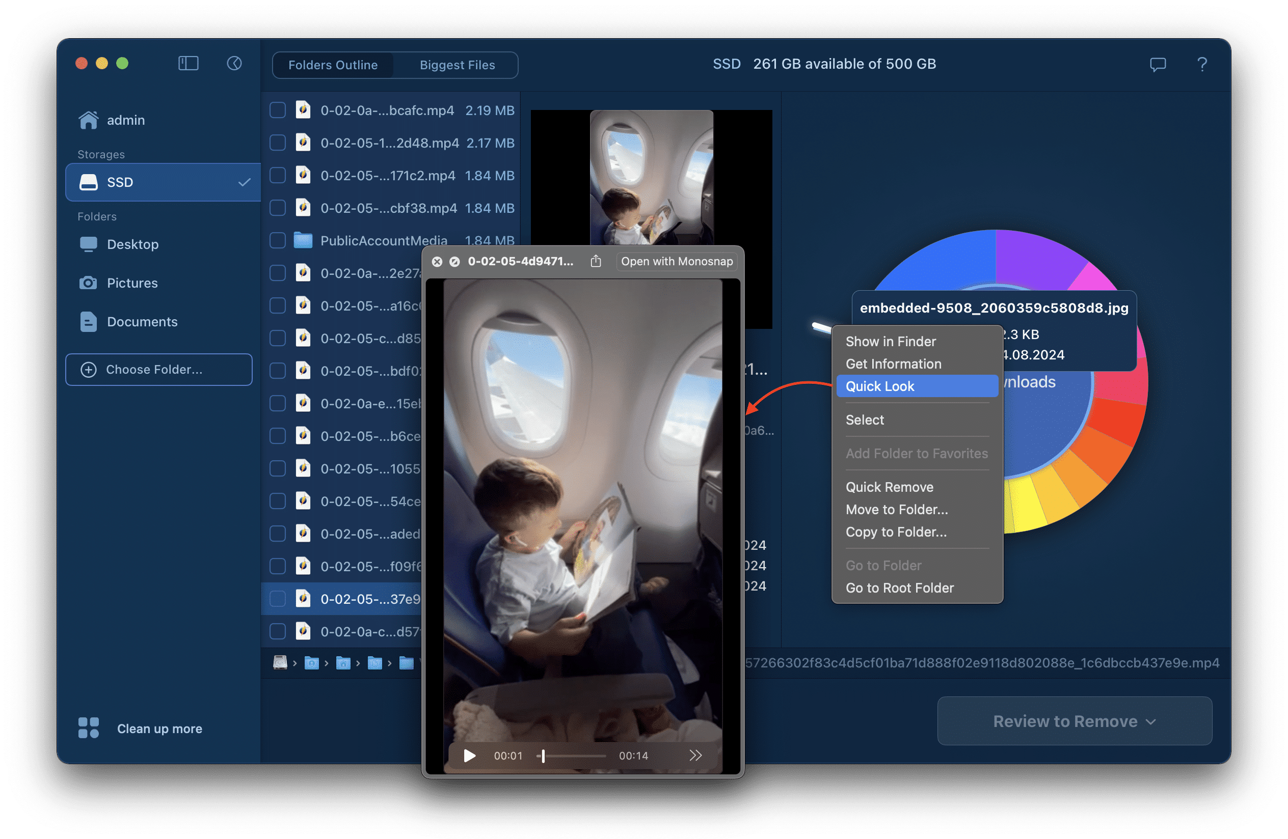 Calling Quick Look option in Disk Space Analyzer