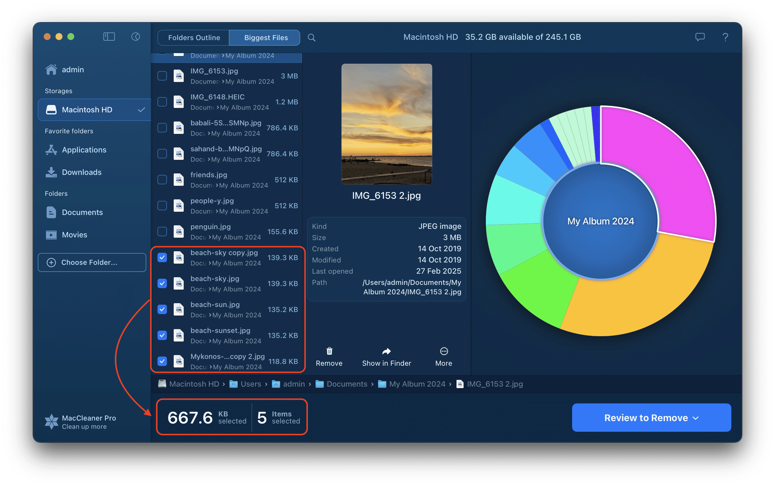 Disk Space Analyzer showing selected files