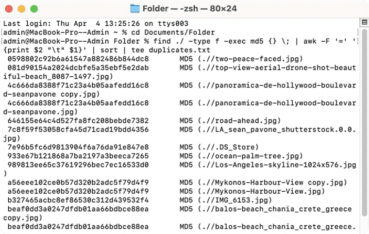 Terminal window showing the list of duplicate files