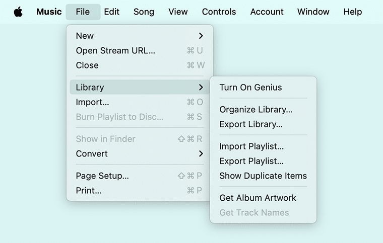 Music app menu showing option to See Exact duplicate items