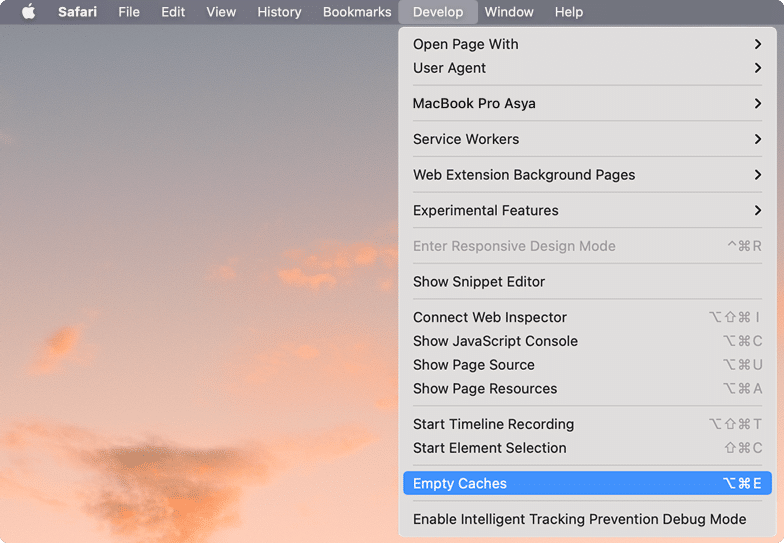 Empty Cache option for Safari