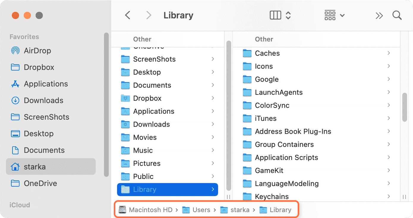 Library showing folders with system service files