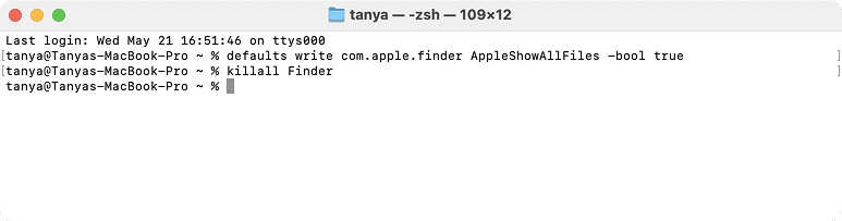 Terminal app showing hidden items