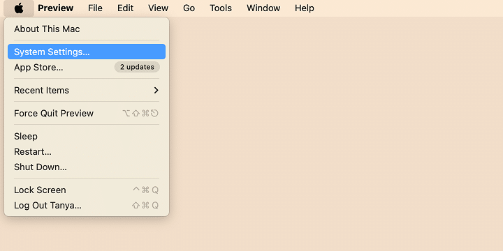 System Settings option in Mac menu
