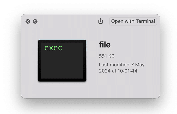 file exec