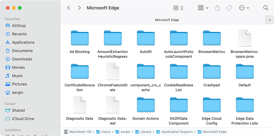 MS Edge Application support files