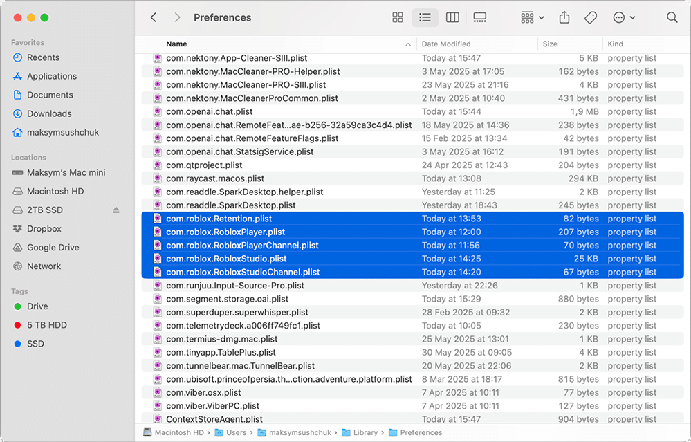 Roblox files in the Preferences folder