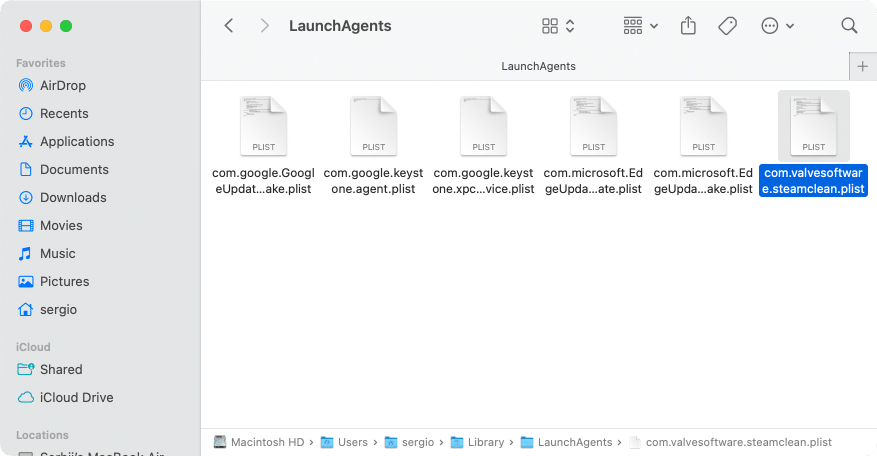 Steam login item file in Library